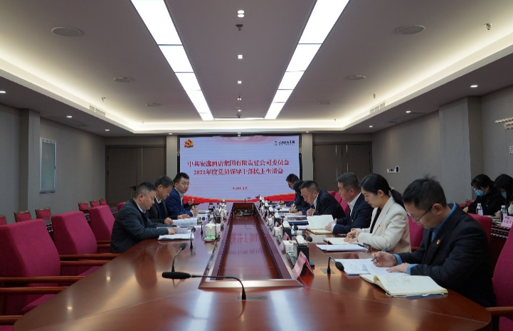 尊龙凯时集团党委书记、董事长任丁出席安逸酒店集团2022年度党员领导干部民主生活会